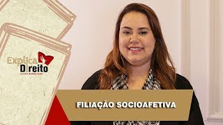 Explica Direito Filiação Socioafetiva  2019 [upl. by Byron56]