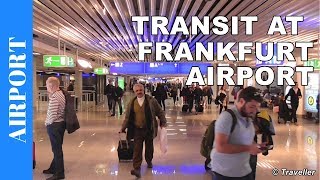 TRANSIT WALK AT FRANKFURT Airport FRA Terminal 1  Connection Flight Transfer Arriving amp Departing [upl. by Richara]